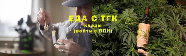 СК Каменногорск