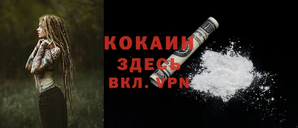 дживик Каменск-Шахтинский
