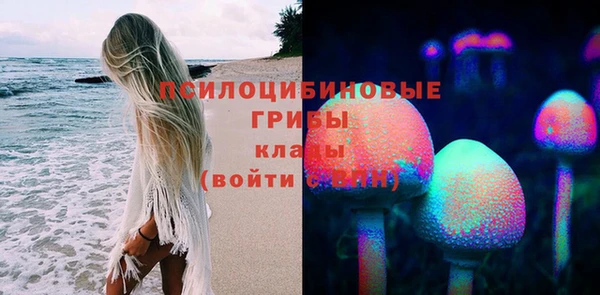 гашиш Каменка